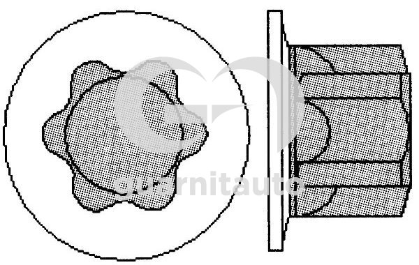 GUARNITAUTO Hengerfej csavar 703005-1010_GUA